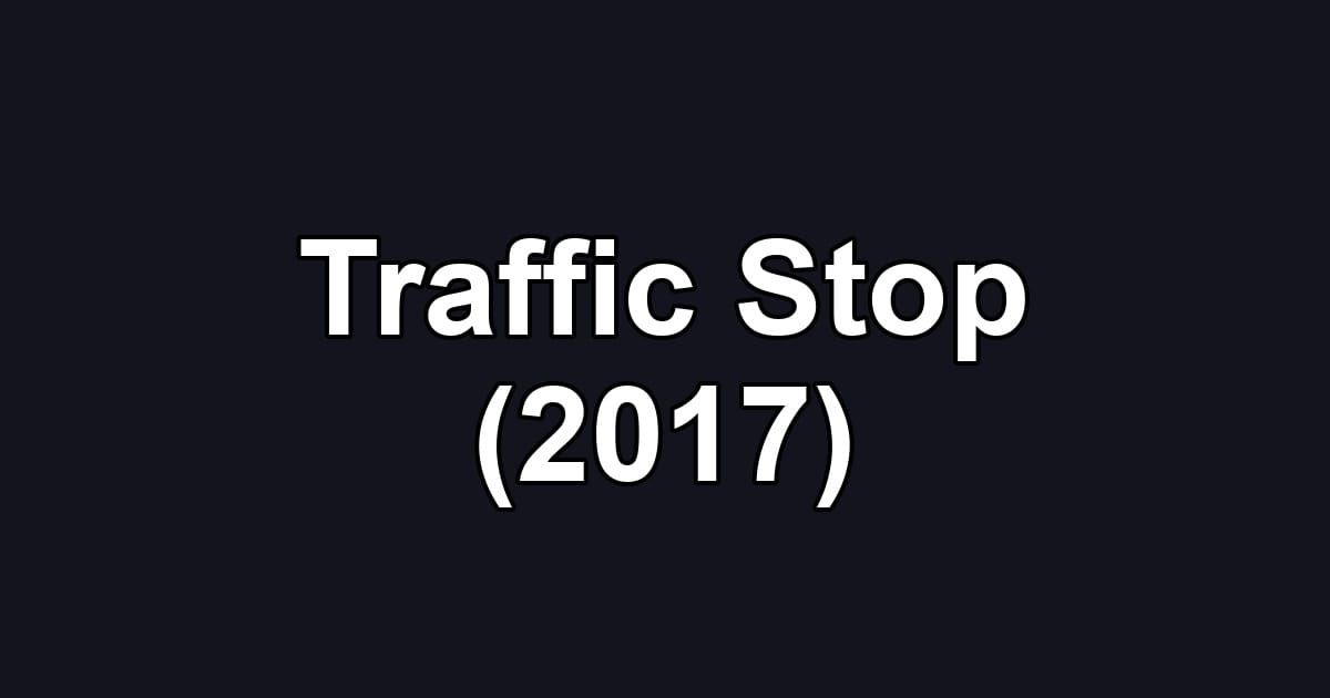 Traffic Stop (2017)