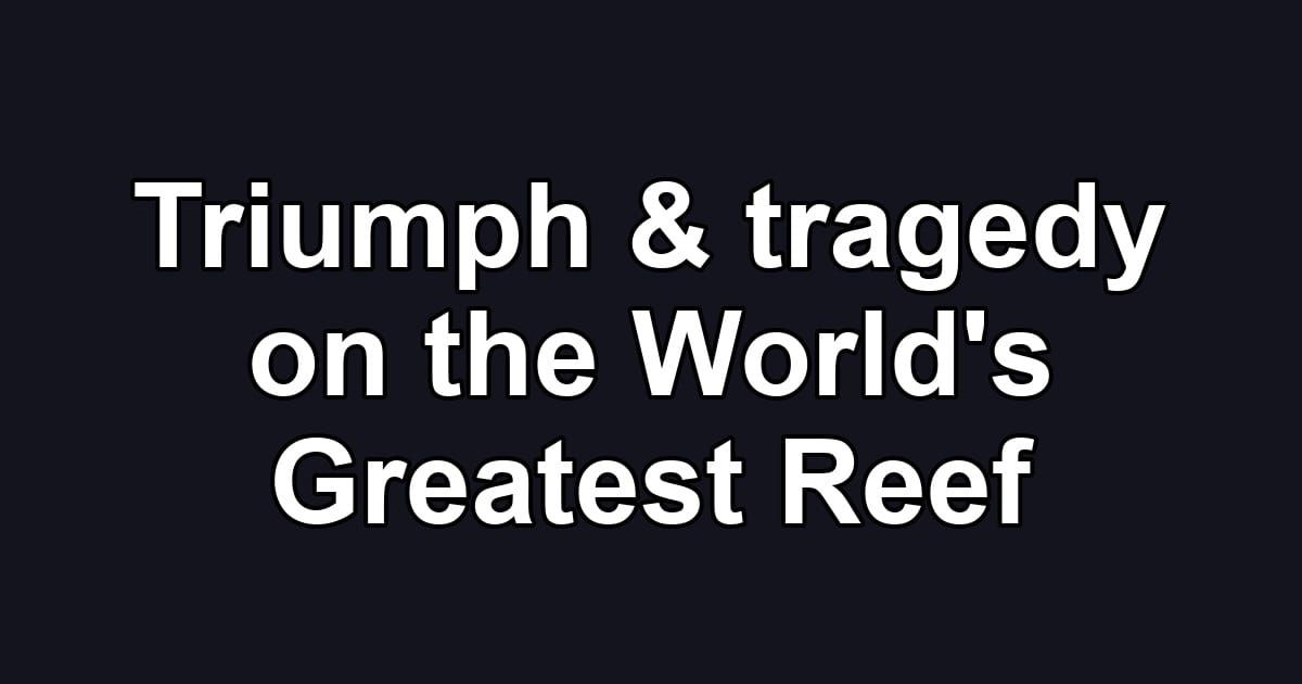Triumph & tragedy on the World's Greatest Reef