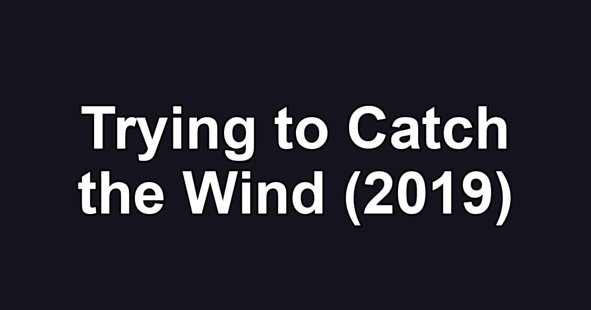 Trying to Catch the Wind (2019)