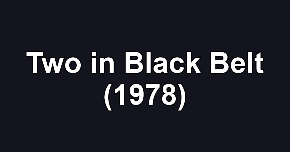 Two in Black Belt (1978)