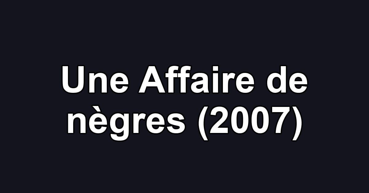 Une Affaire de nègres (2007)