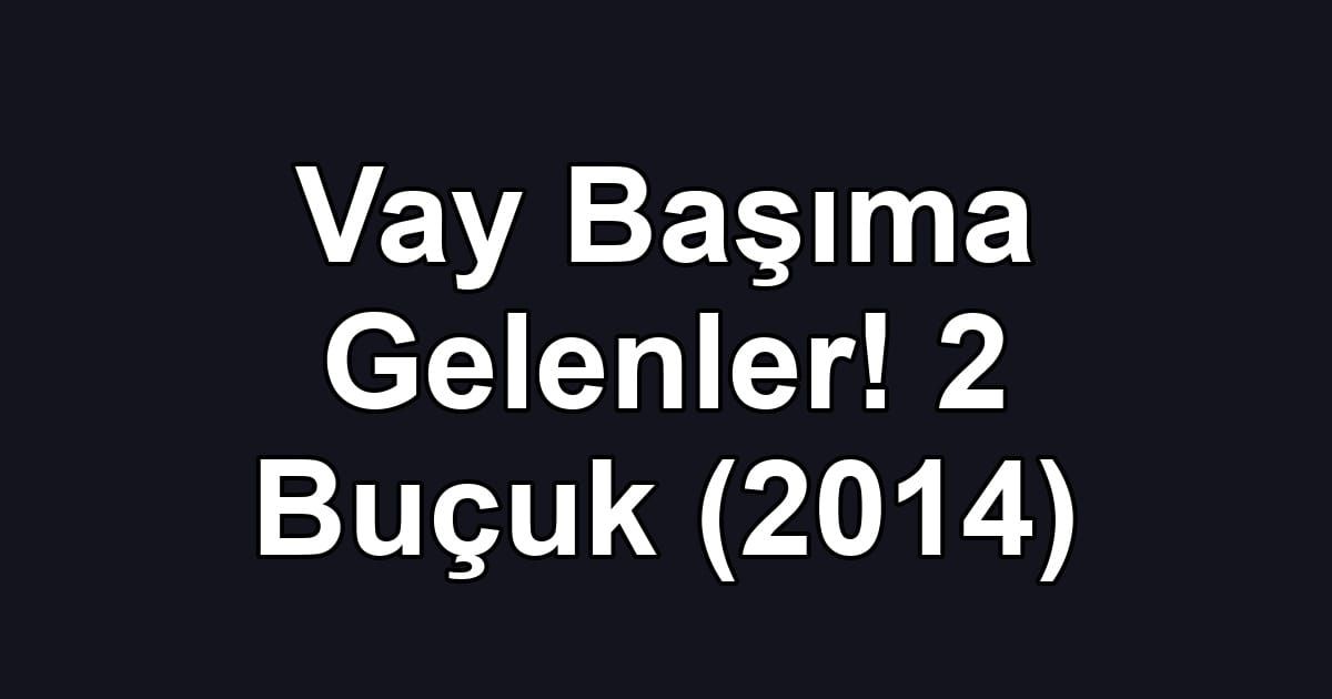 Vay Başıma Gelenler! 2 Buçuk (2014)