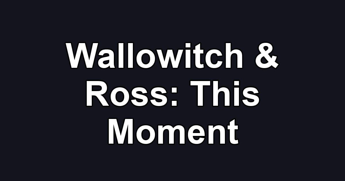 Wallowitch & Ross: This Moment