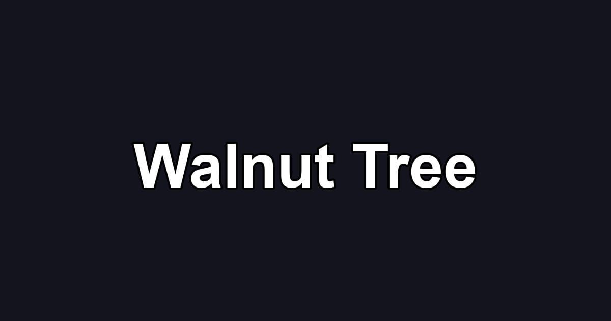 Walnut Tree
