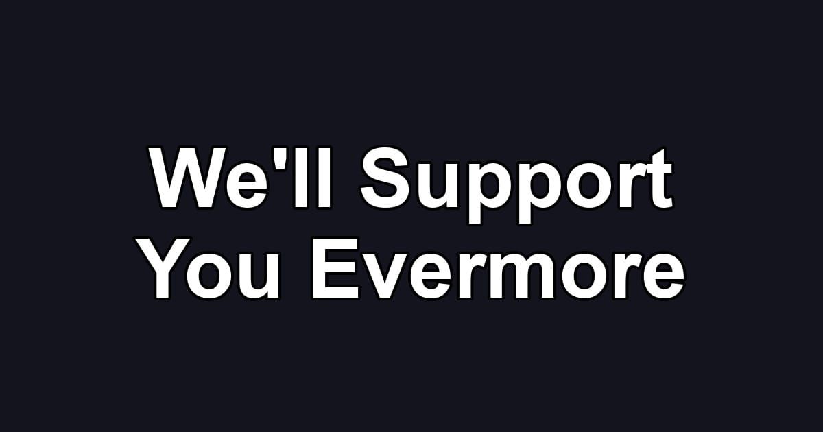 We'll Support You Evermore