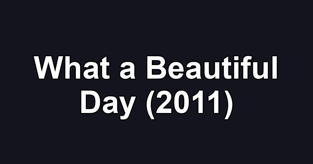 What a Beautiful Day (2011)