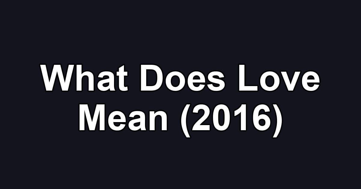 What Does Love Mean (2016)