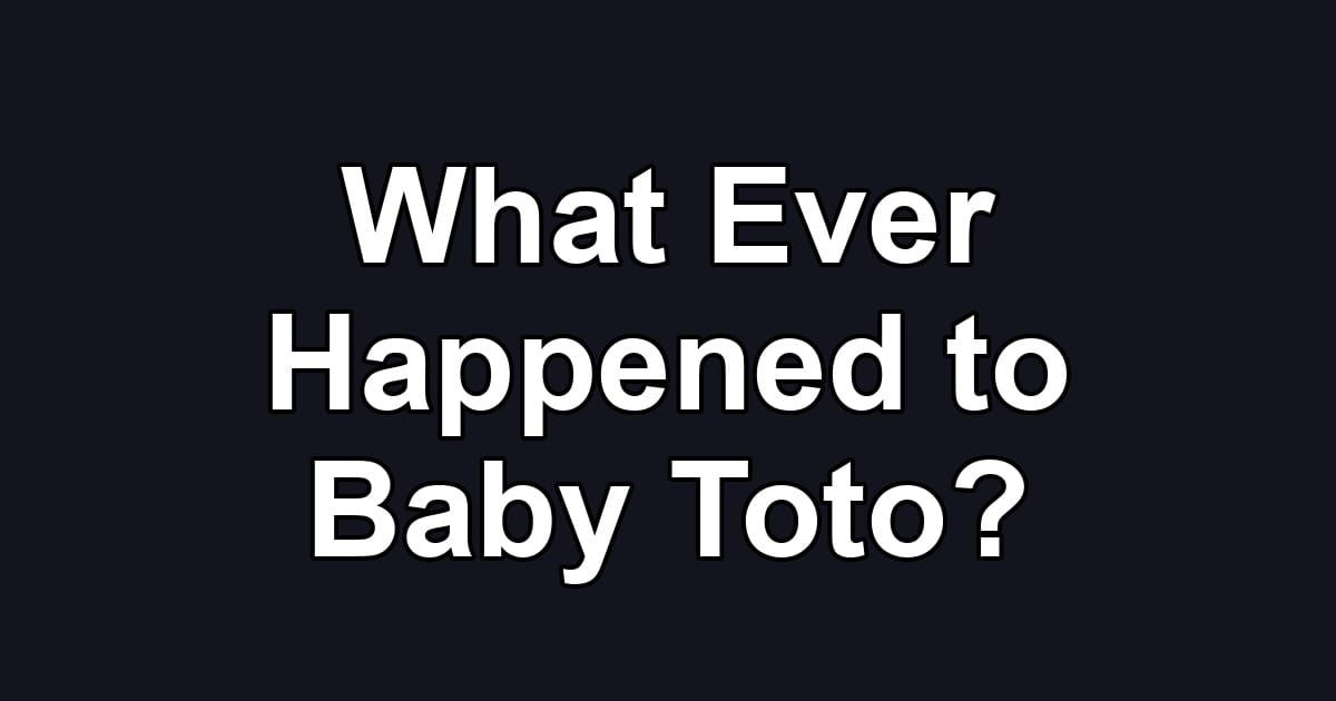 What Ever Happened to Baby Toto?