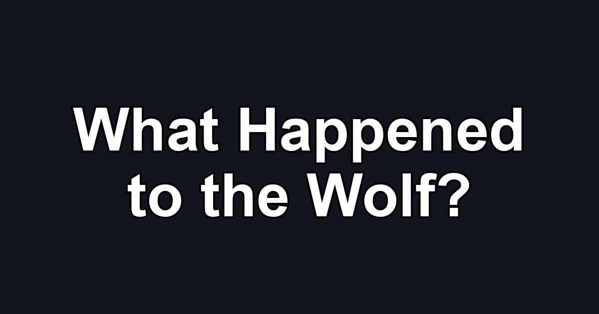 What Happened to the Wolf?