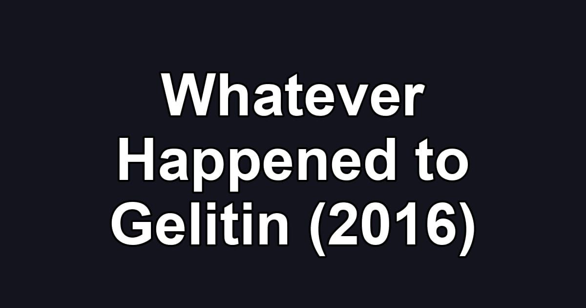 Whatever Happened to Gelitin (2016)