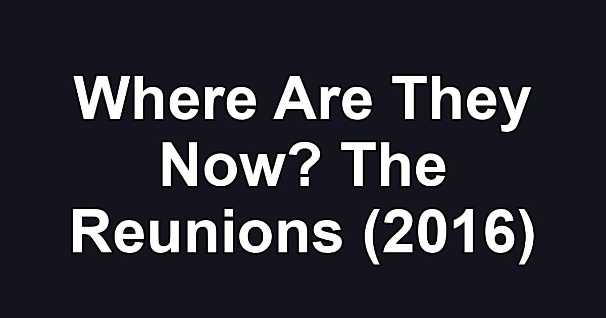 Where Are They Now? The Reunions (2016)