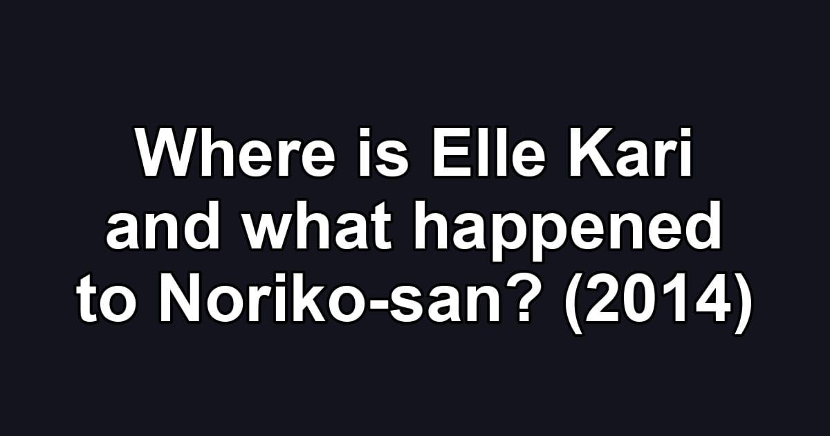 Where is Elle Kari and what happened to Noriko-san? (2014)