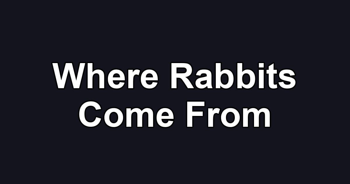 Where Rabbits Come From