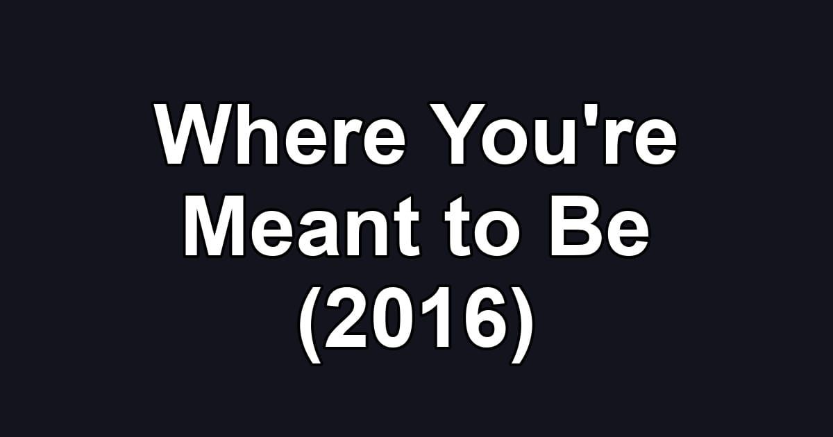 Where You're Meant to Be (2016)