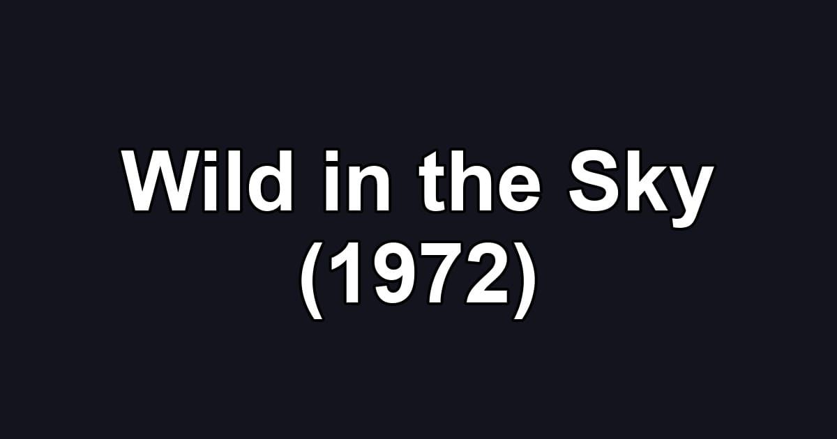 Wild in the Sky (1972)