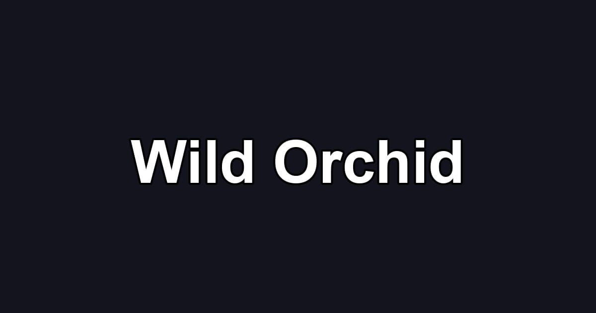 Wild Orchid
