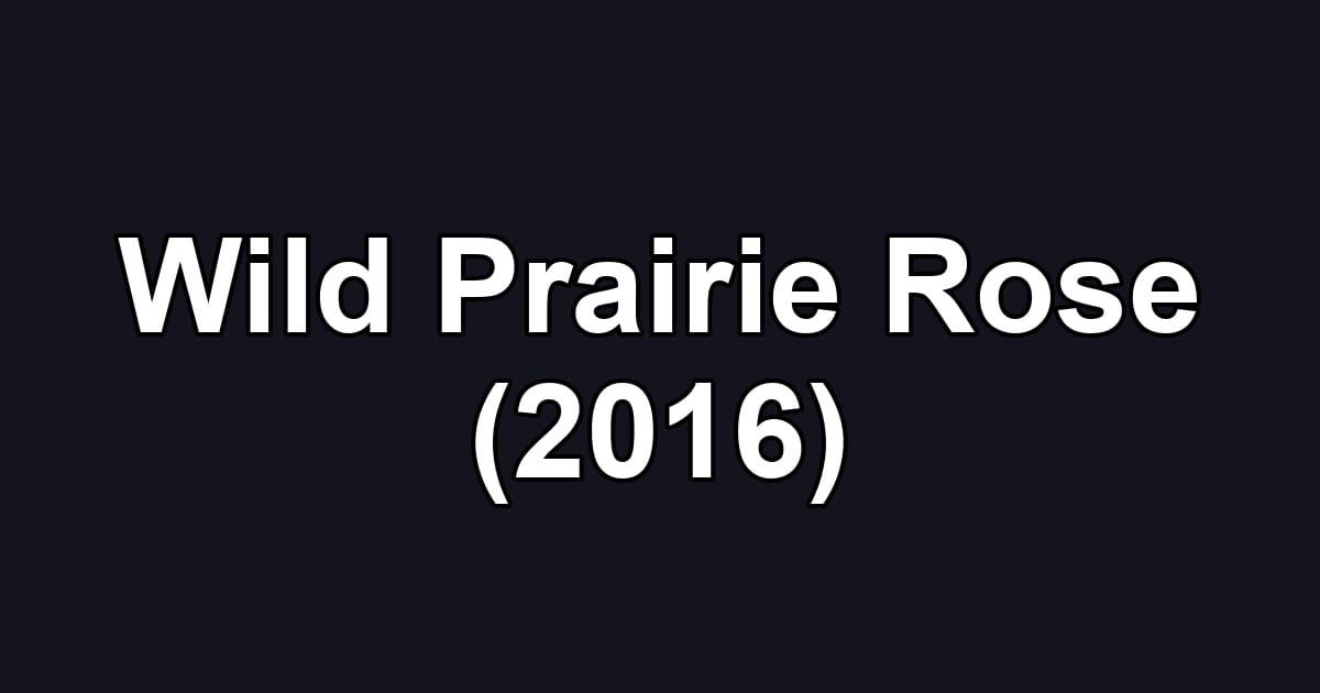 Wild Prairie Rose (2016)