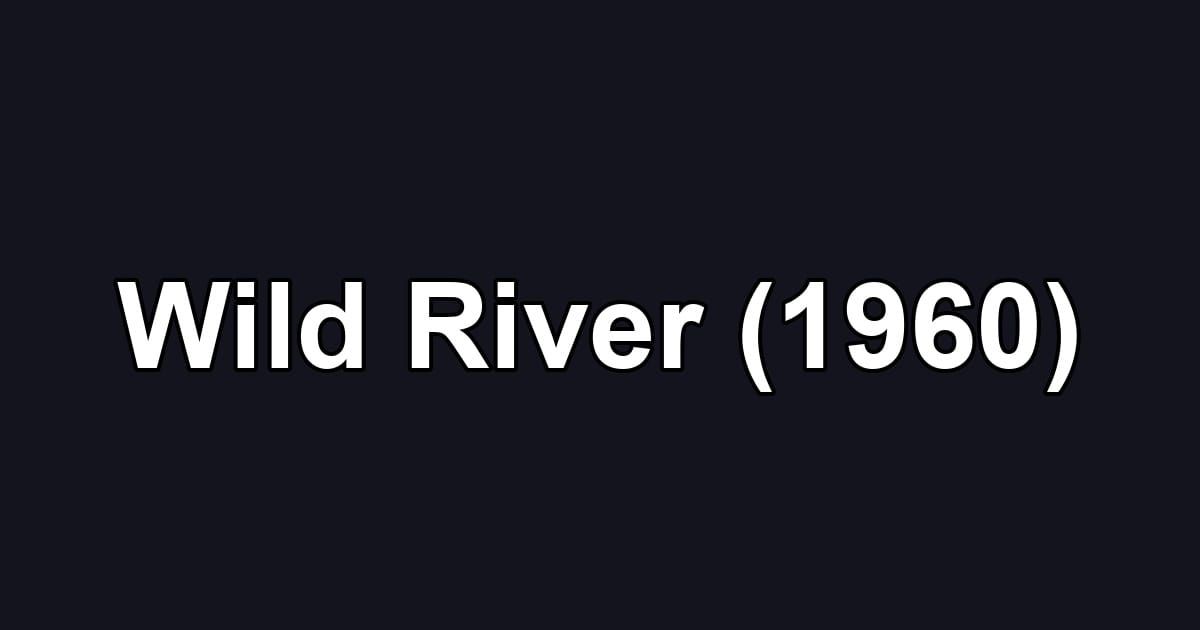Wild River (1960)