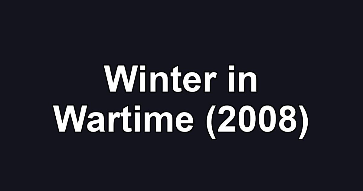 Winter in Wartime (2008)