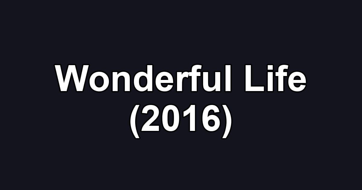 Wonderful Life (2016)