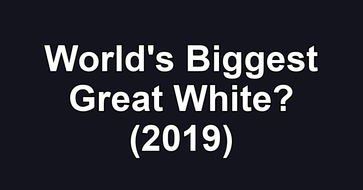World's Biggest Great White? (2019)