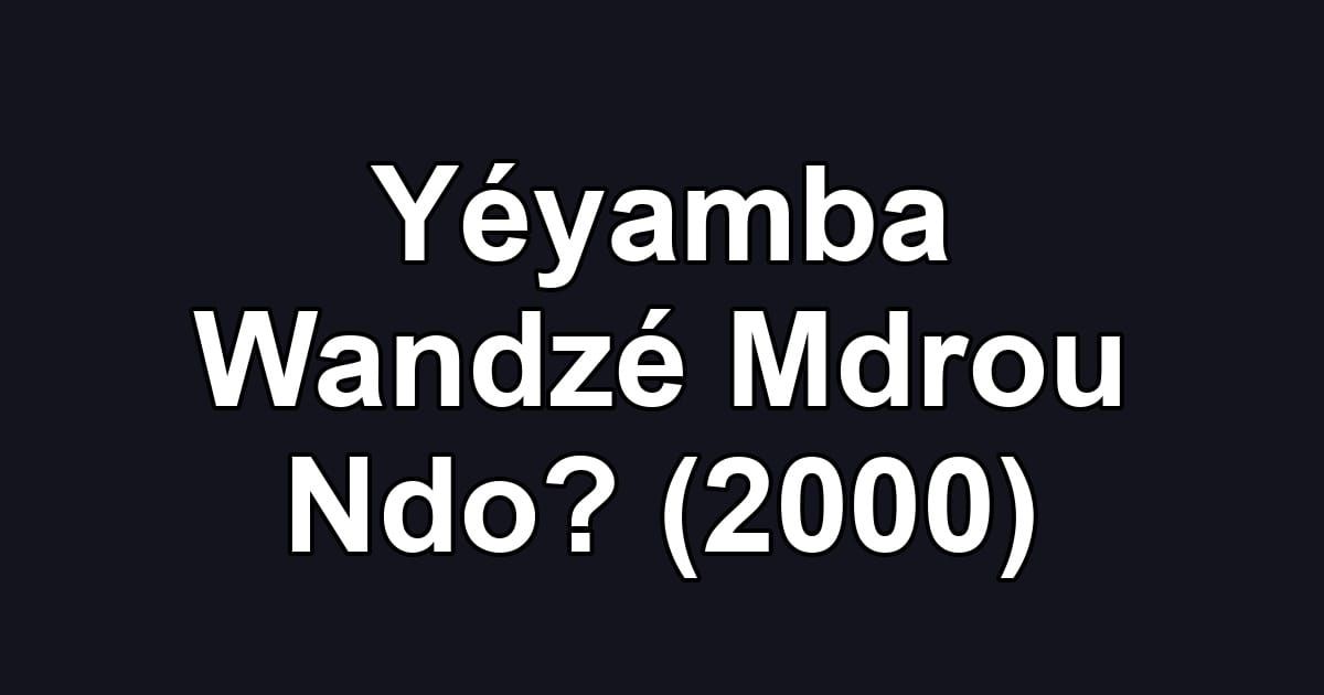 Yéyamba Wandzé Mdrou Ndo? (2000)
