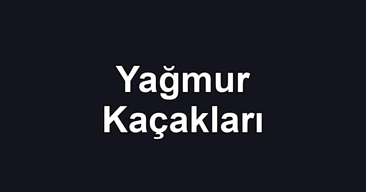 Yağmur Kaçakları