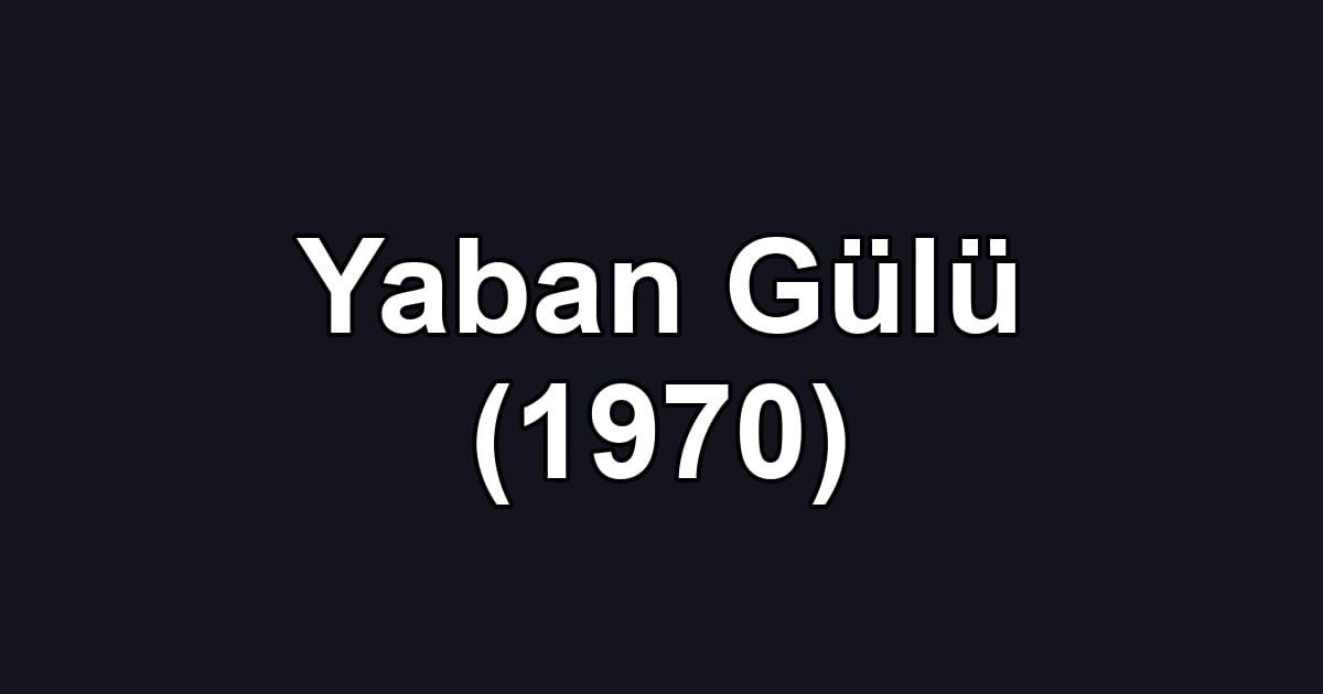 Yaban Gülü (1970)