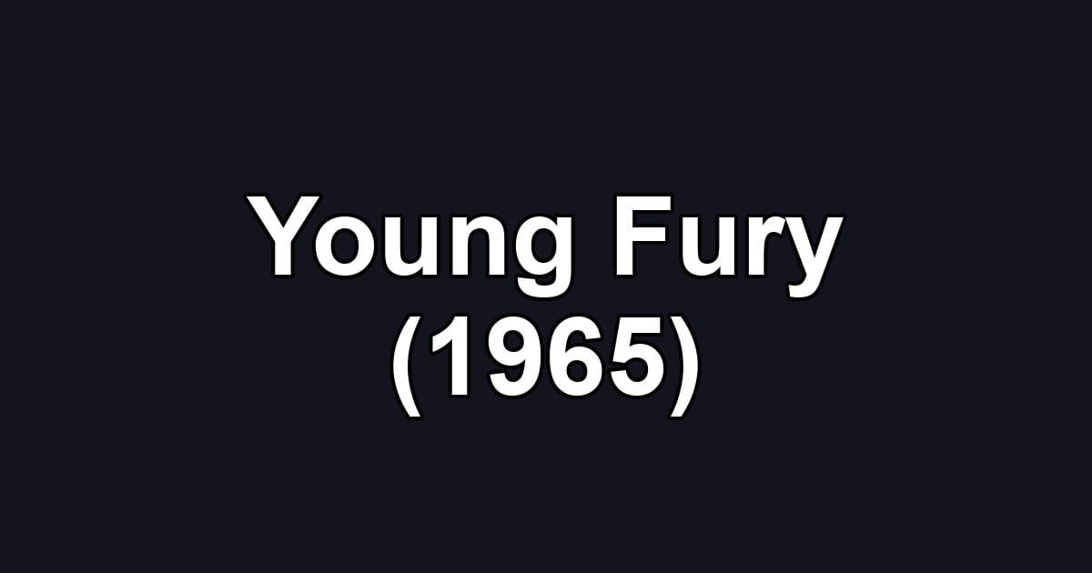 Young Fury (1965)