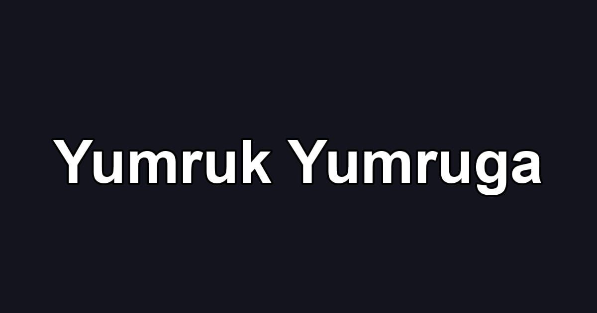 Yumruk Yumruga