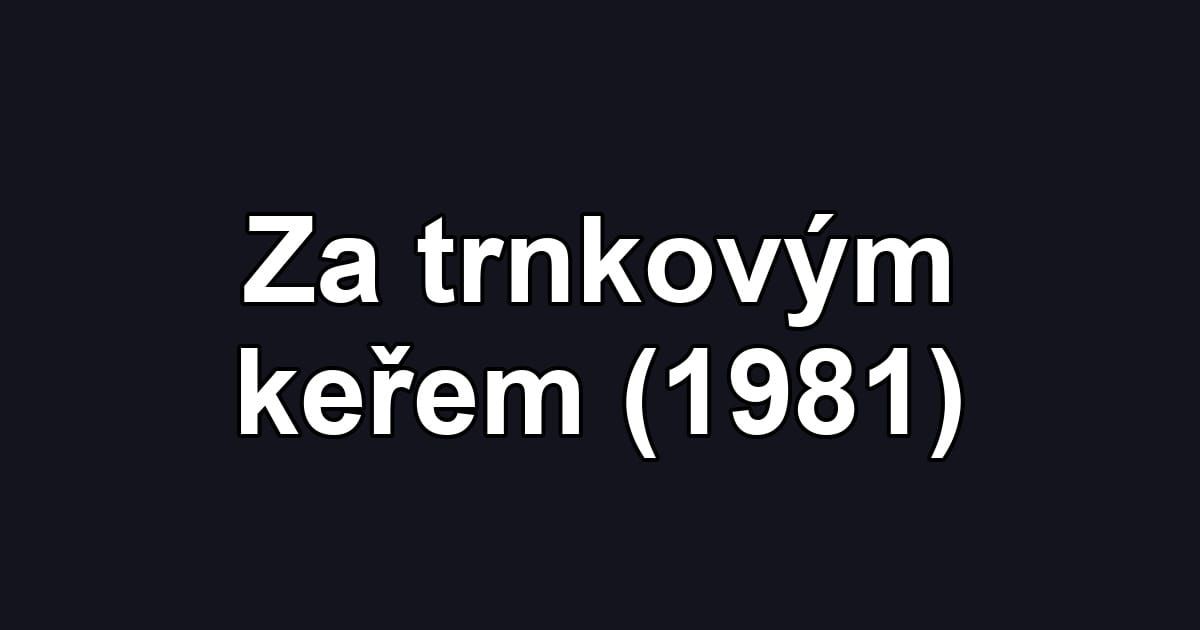 Za trnkovým keřem (1981)