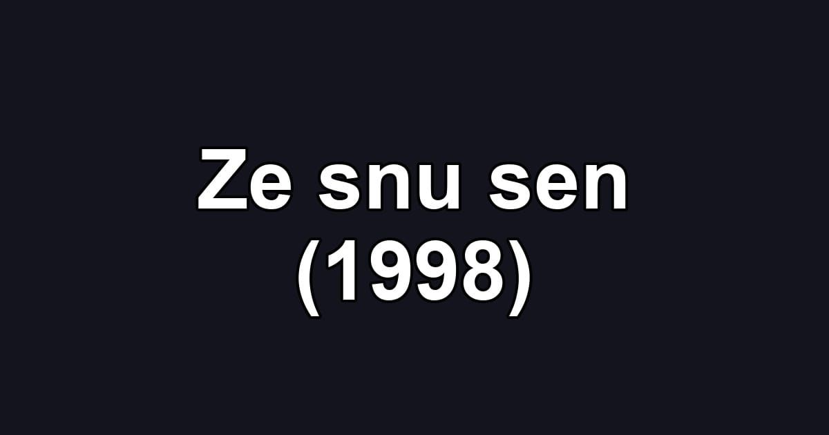 Ze snu sen (1998)