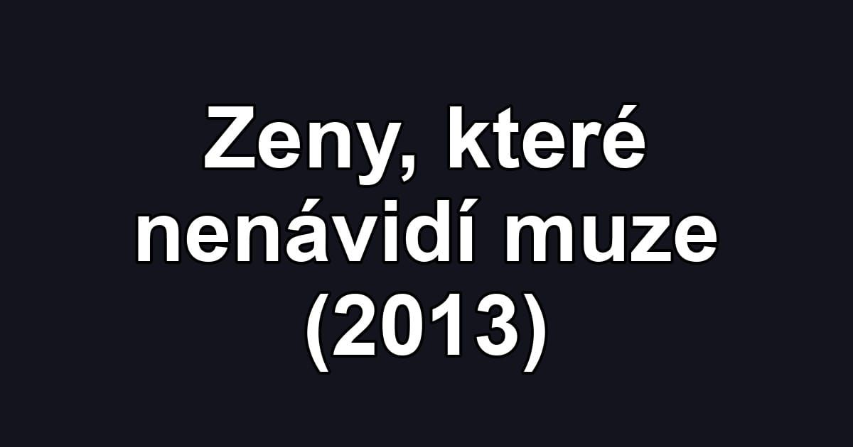 Zeny, které nenávidí muze (2013)