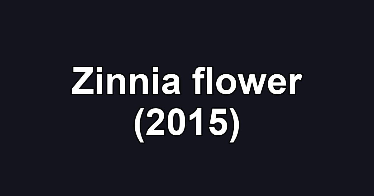 Zinnia flower (2015)