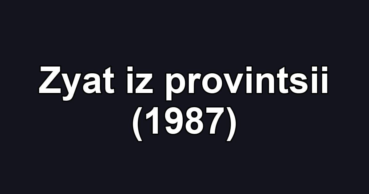 Zyat iz provintsii (1987)
