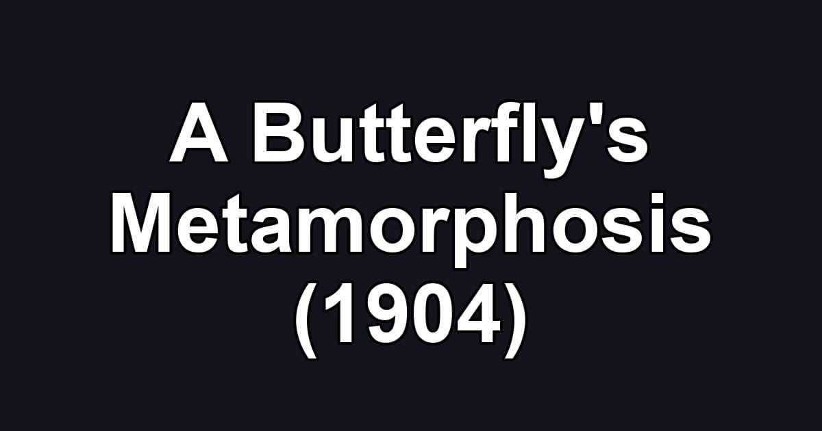 A Butterfly's Metamorphosis (1904)