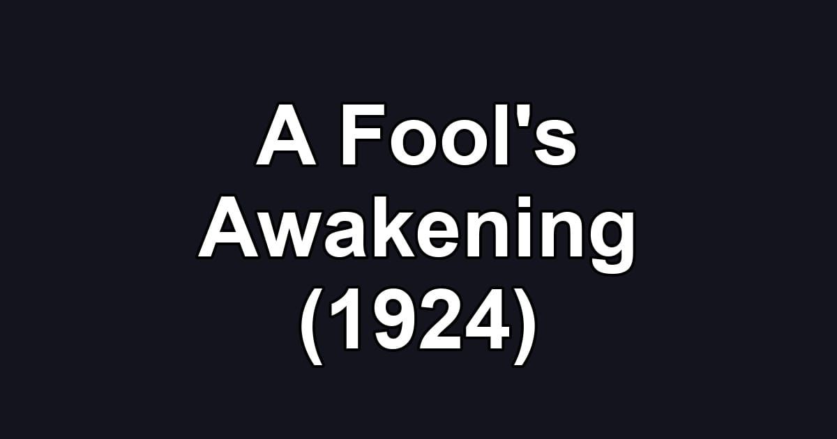 A Fool's Awakening (1924)