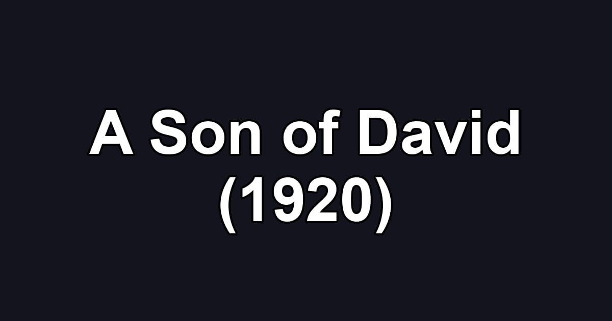 A Son of David (1920)
