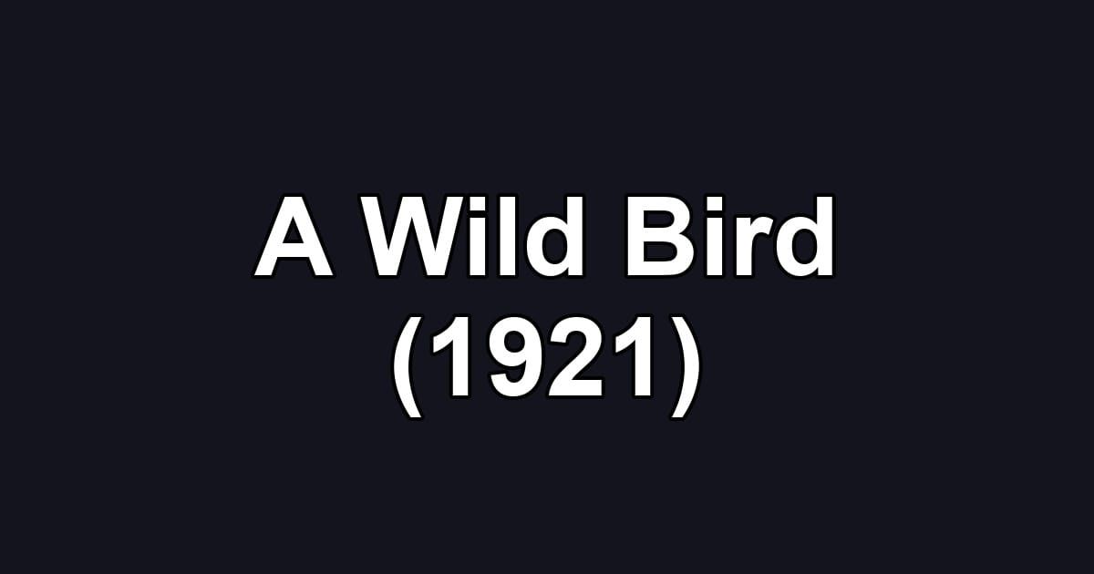 A Wild Bird (1921)