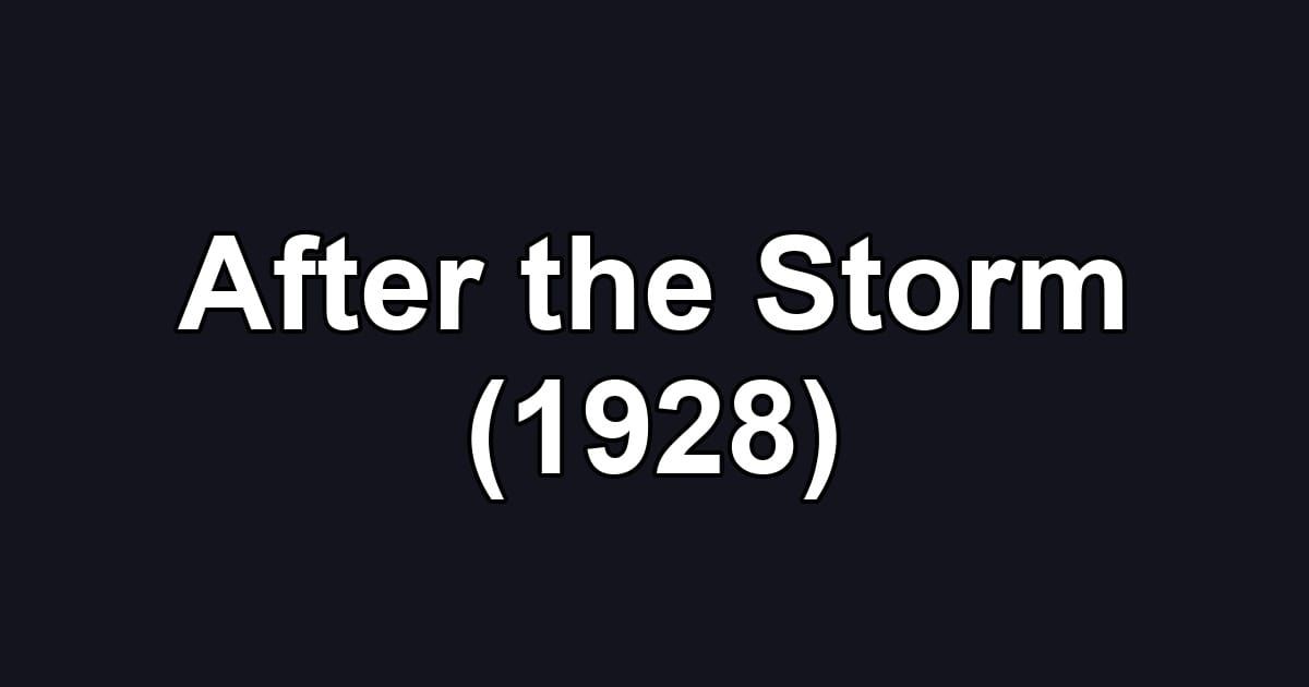 After the Storm (1928)