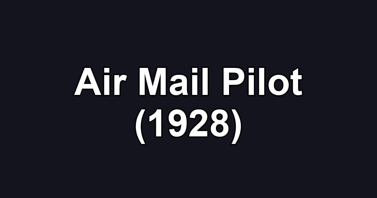 Air Mail Pilot (1928)