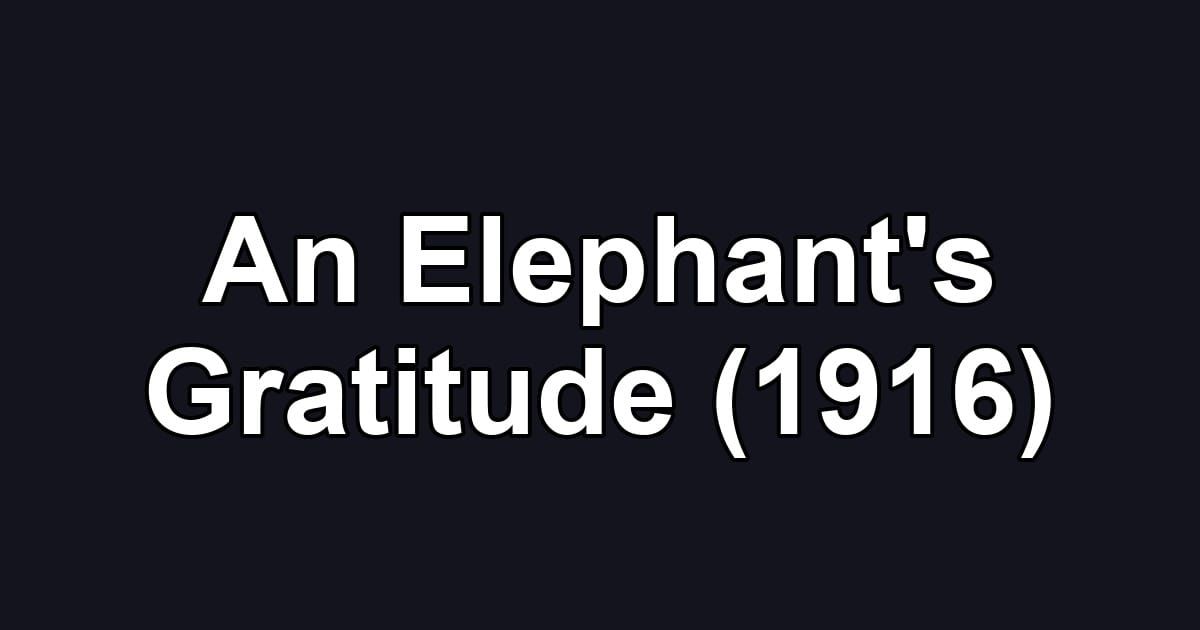 An Elephant's Gratitude (1916)
