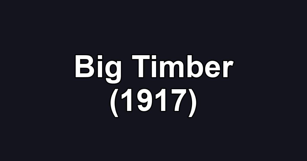 Big Timber (1917)