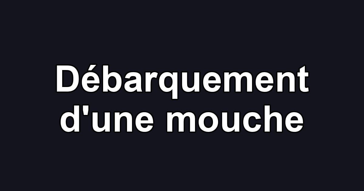 Débarquement d'une mouche