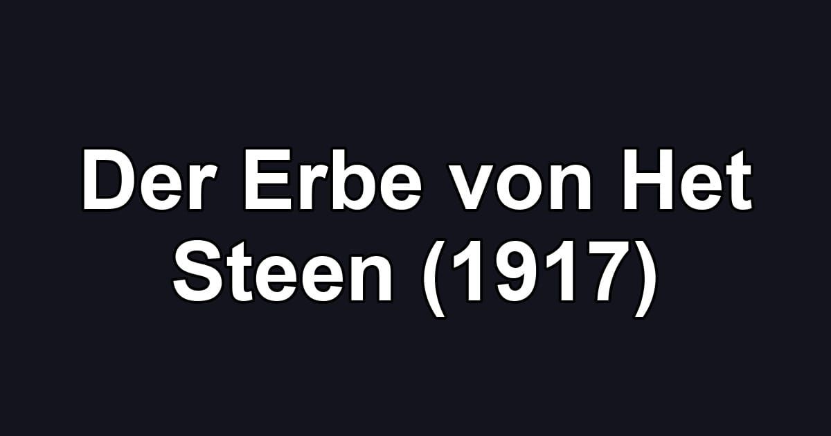 Der Erbe von Het Steen (1917)