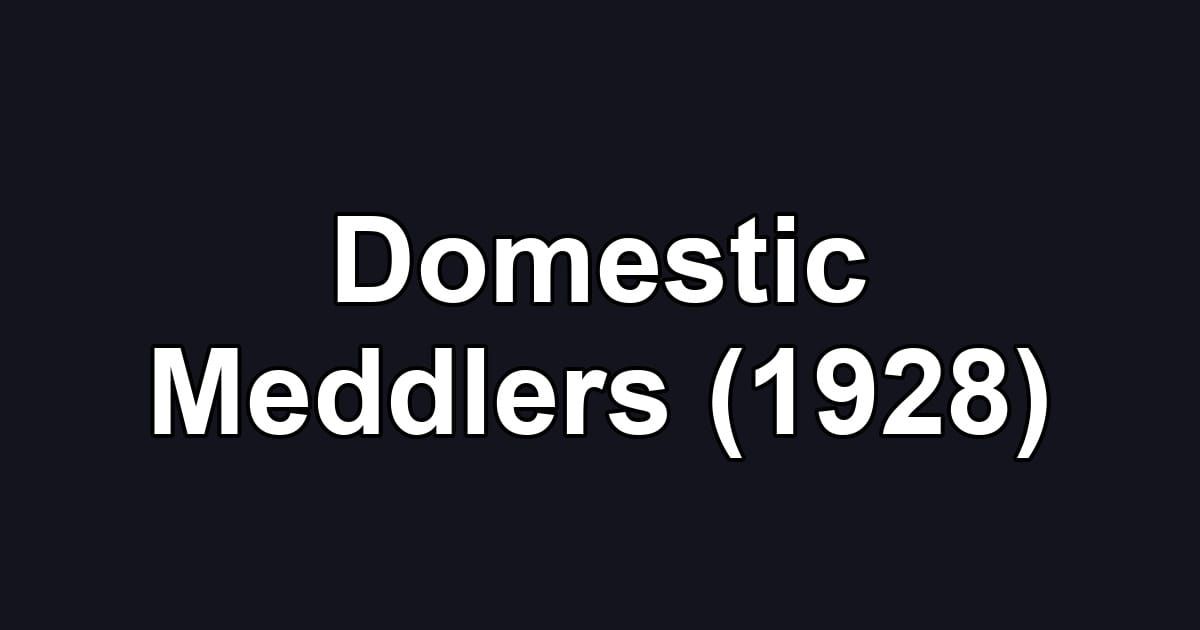Domestic Meddlers (1928)