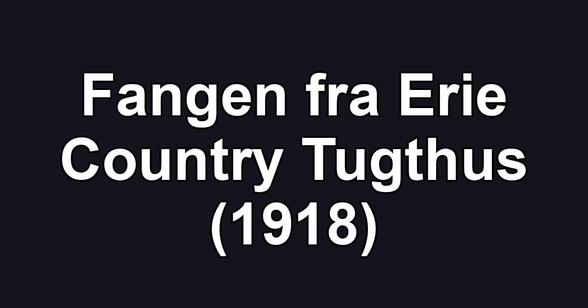Fangen fra Erie Country Tugthus (1918)