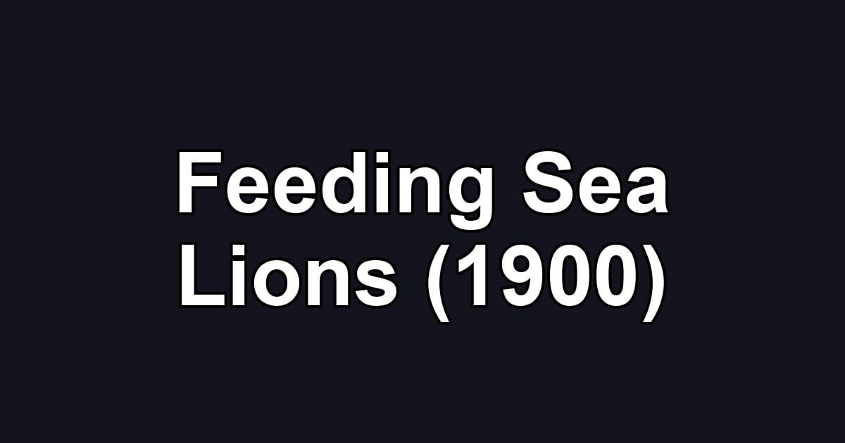 Feeding Sea Lions (1900)