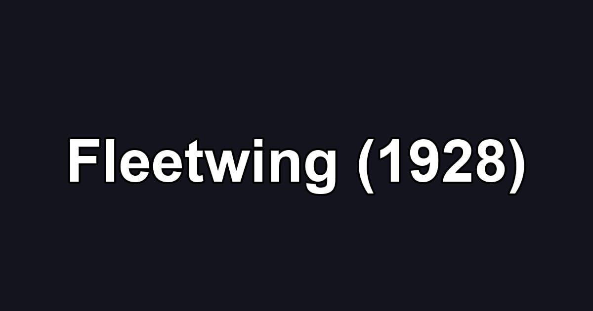 Fleetwing (1928)
