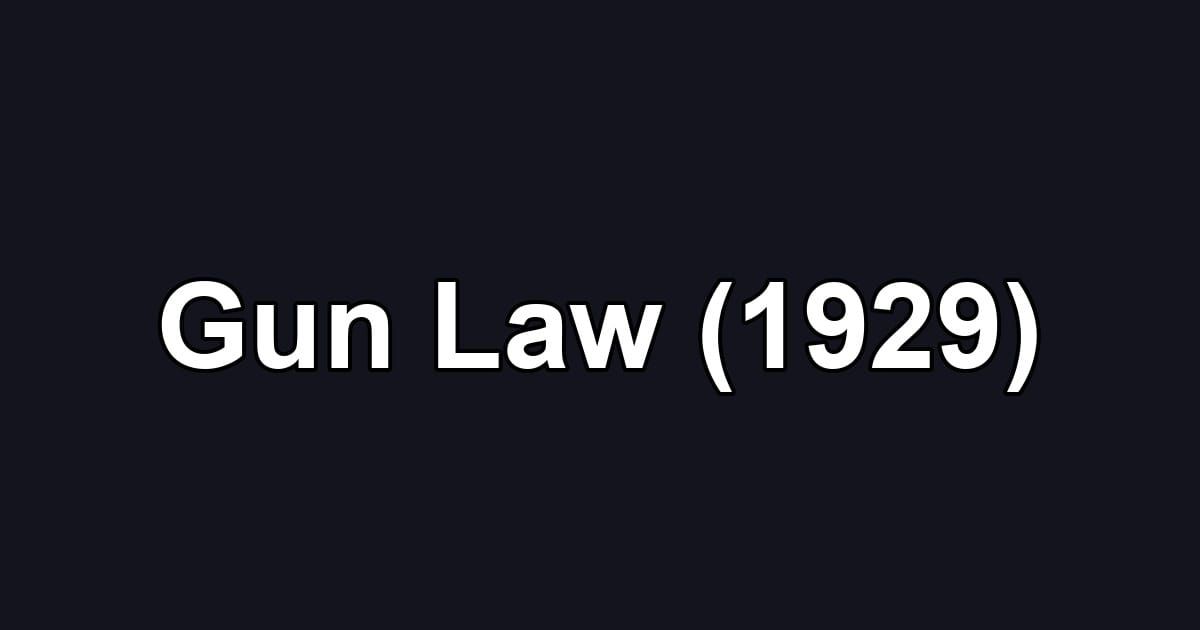 Gun Law (1929)